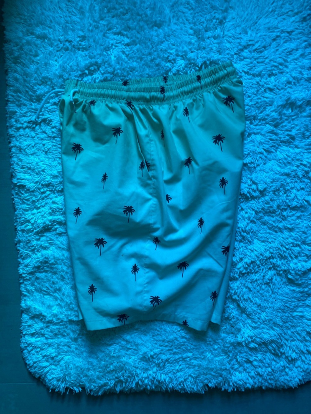Men's Palm Print Swim Trunks - Teal